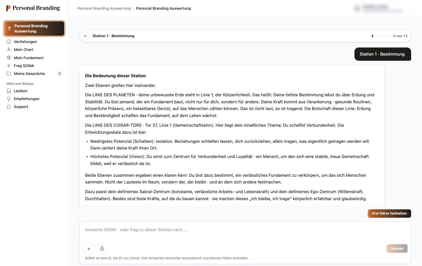 Die Personal Branding Auswertung im Browser · SOMA erklärt Station 1, die Bestimmung